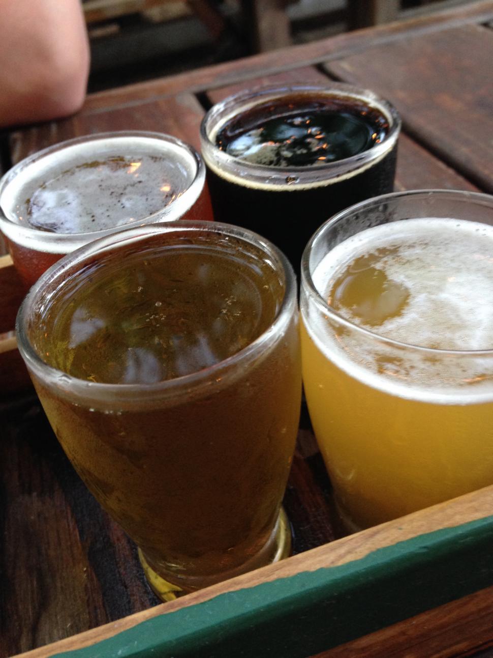 Free Image of Beer Tasting 