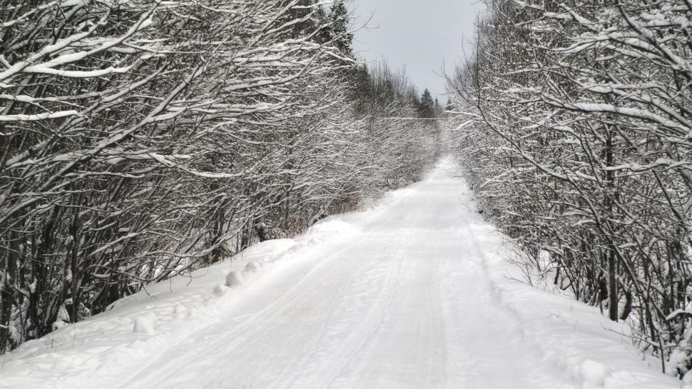 Free Image of Winter road 
