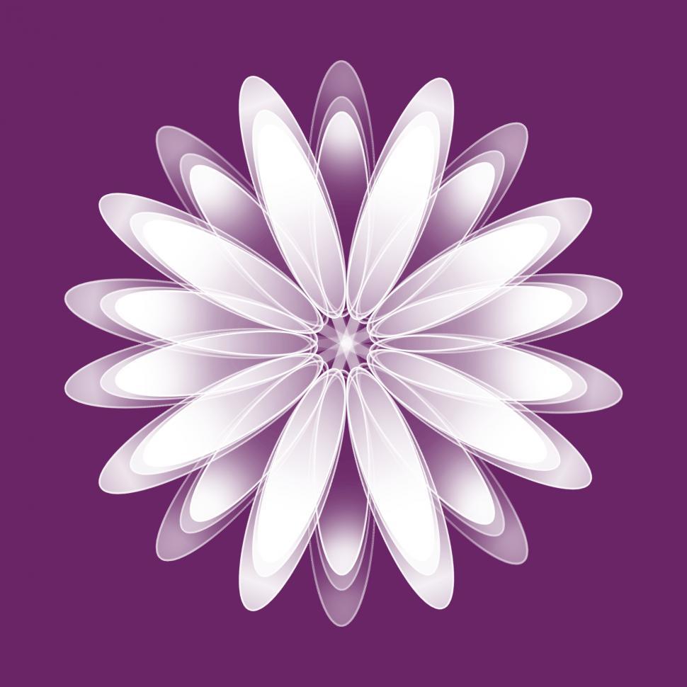 Free Image of White Abstract Flower 