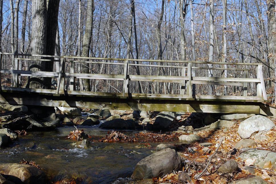 Free Image of Wooden Bridge and Stream 