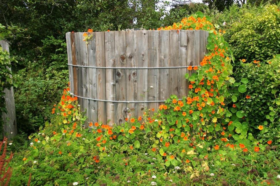Free Image of Wooden Fence Surrounded by Flowers and Greenery 