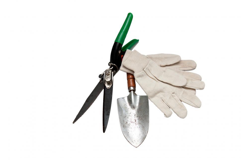 Free Image of Gardening 