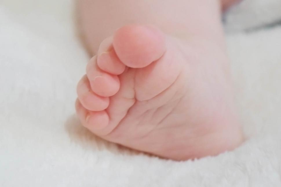 Free Image of Baby Toes 