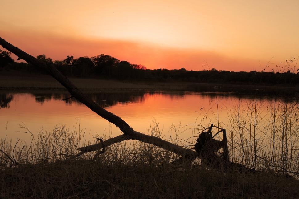 Free Image of Orange Sunset 