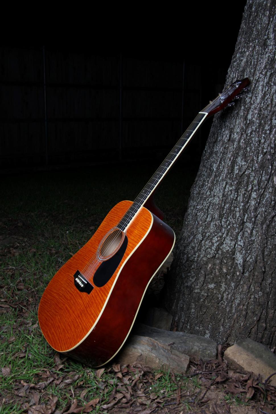 Free Image of Guitar leaning against a tree. 