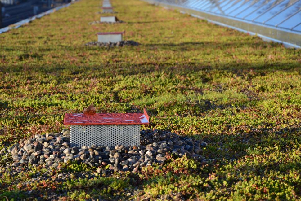 Free Image of Drainage on the green roof 