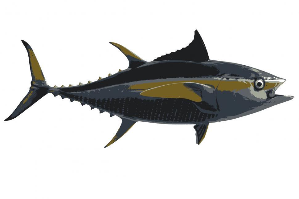 Free Image of Colorful Tuna 