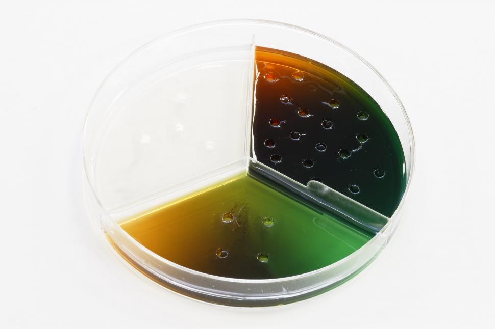 Free Image of Food Safety Antigen Antibody Test on White 