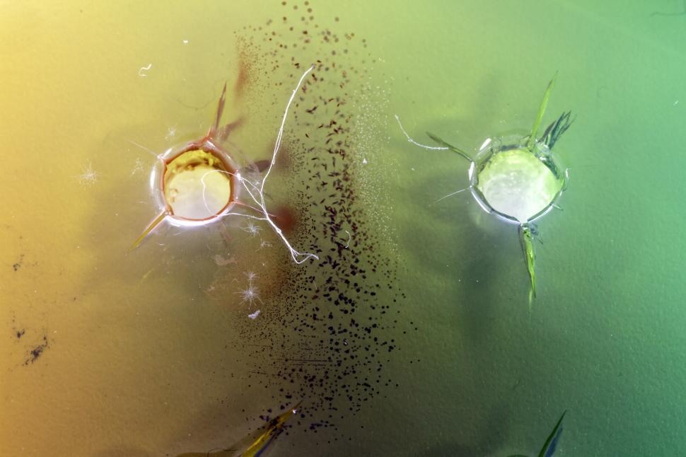 Free Image of Food Safety Antigen Antibody Test - Macro 