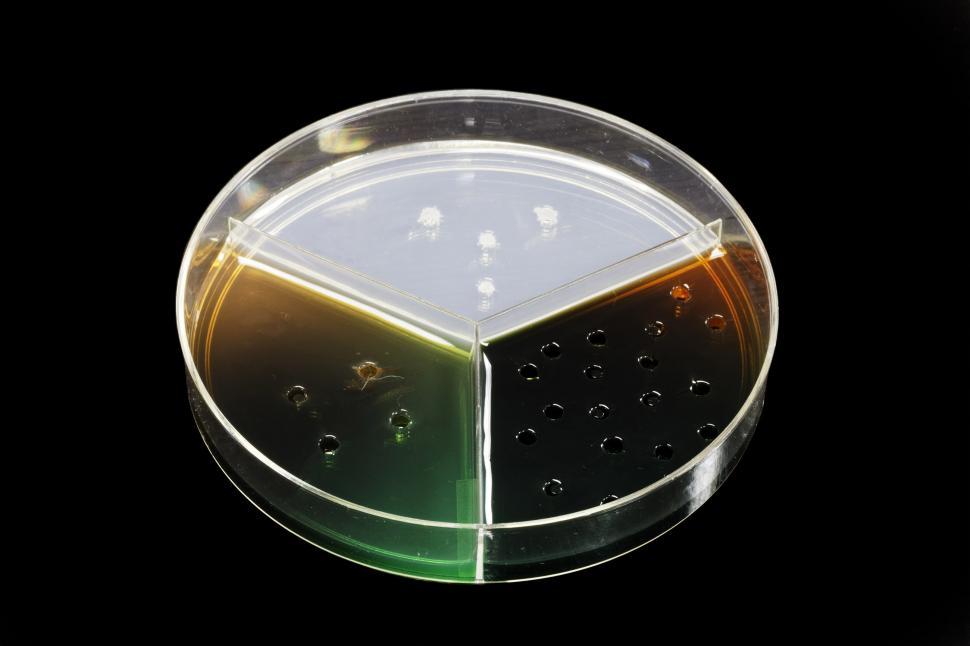 Free Image of Food Safety Antigen Antibody Test on Black 