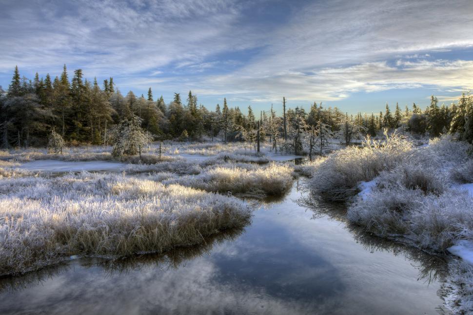 Free Image of Winter Landscape 