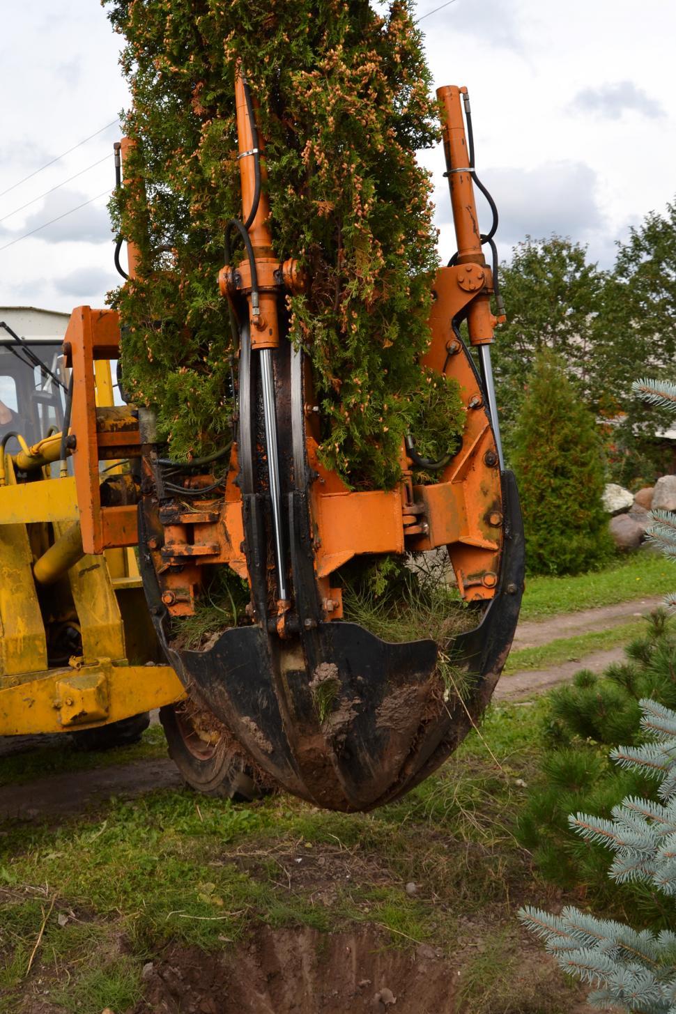 Free Image of Tree Transplanting Equipment 