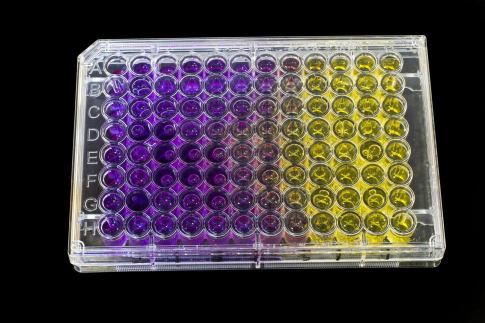 Free Image of Microbiology mutagen test 