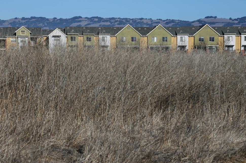 Free Image of Dried Grass and Development 