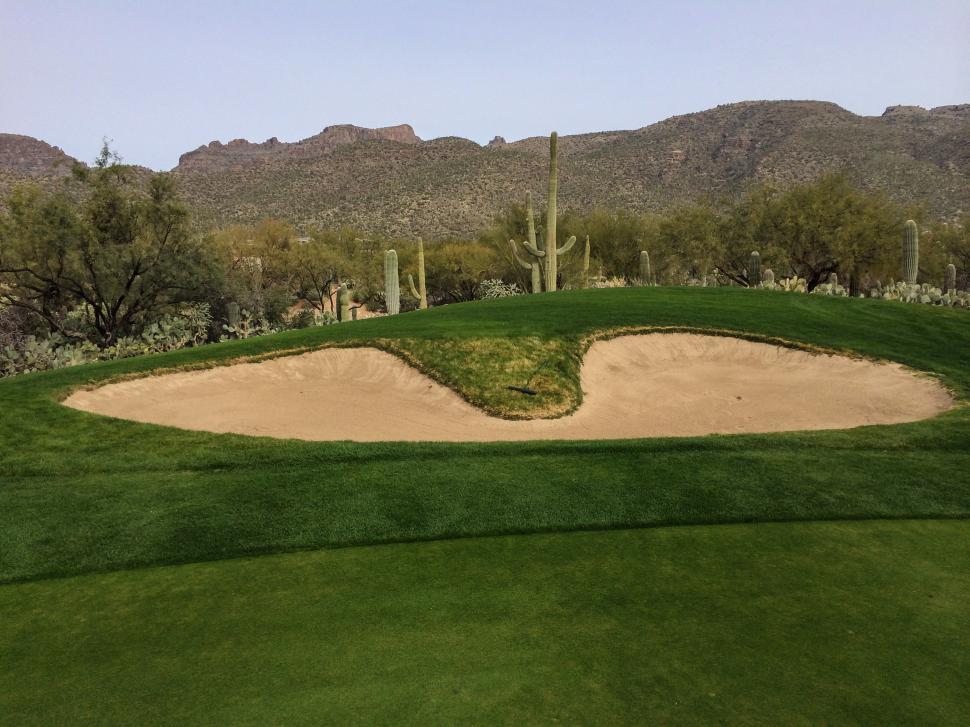 Free Image of Golf Course 