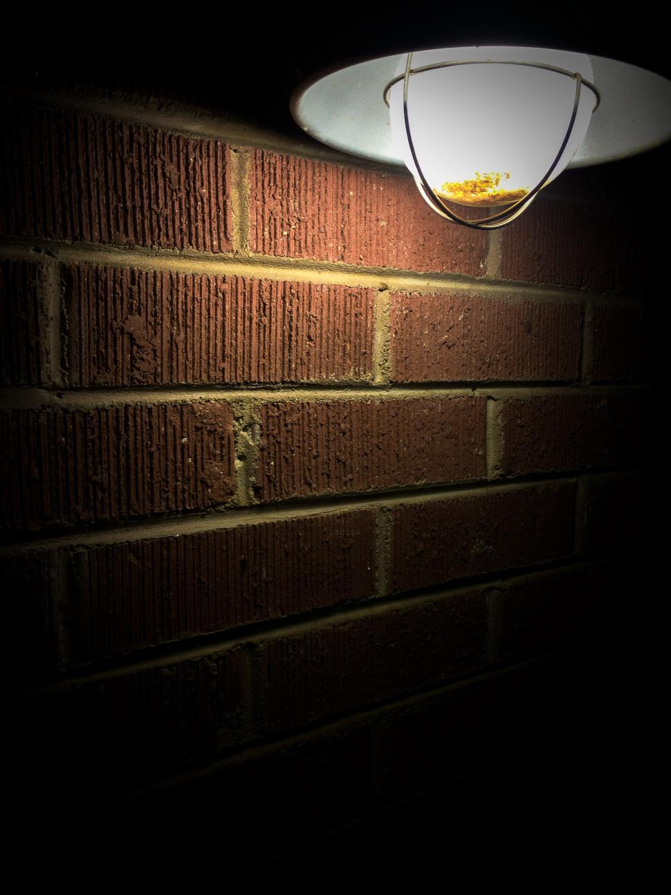 Free Image of Electric Bulb Light 