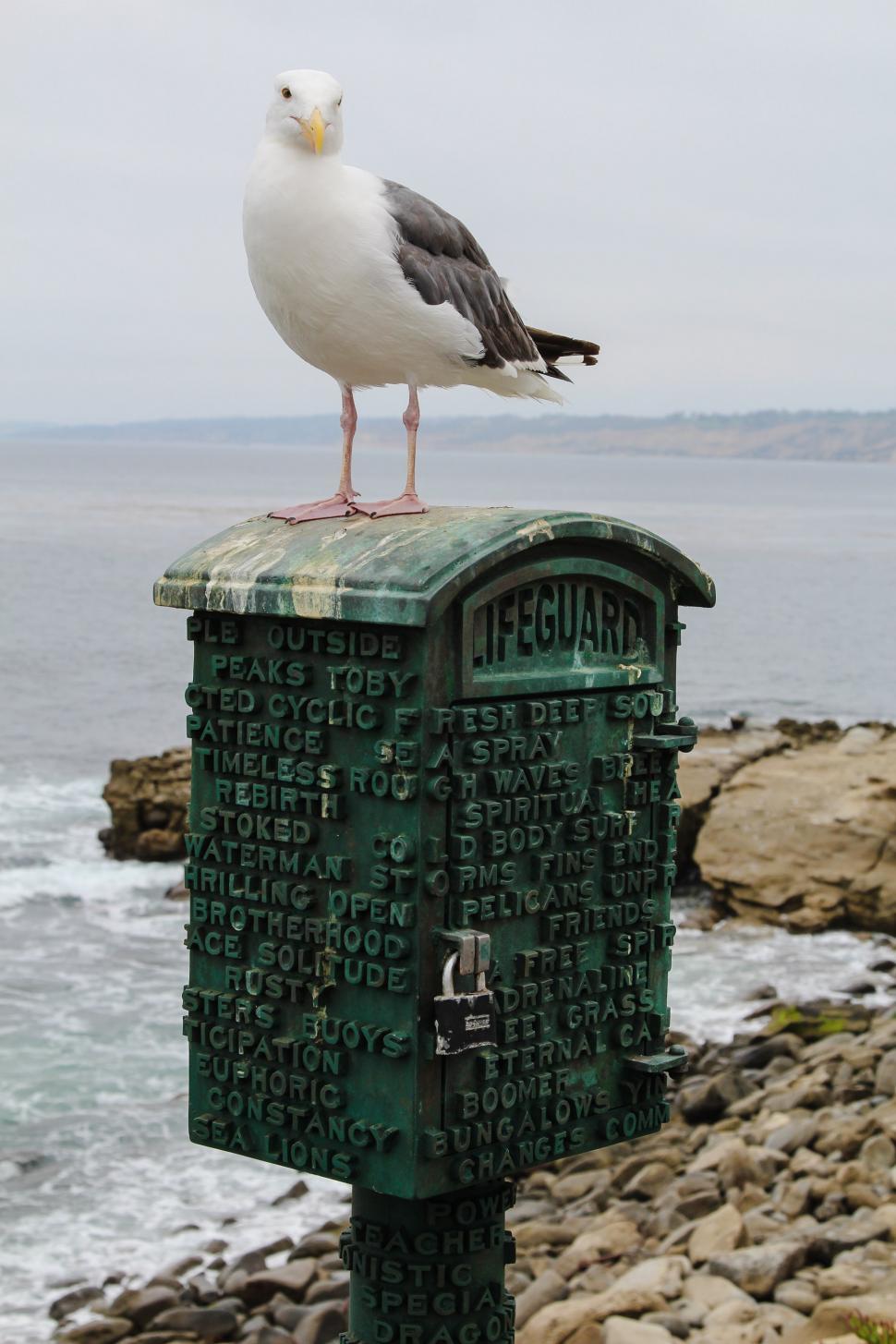 Free Image of Lifeguard Call Box 
