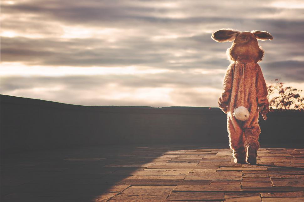 Free Image of Adult Human being in a rabbit onesie 