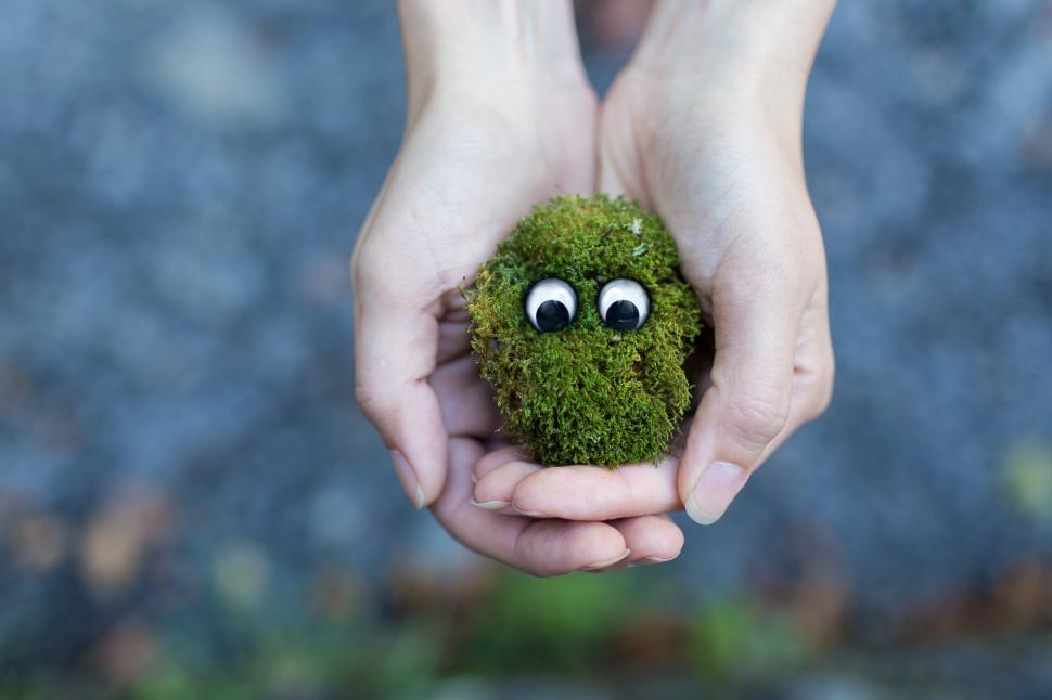 Free Image of Environment in hand 