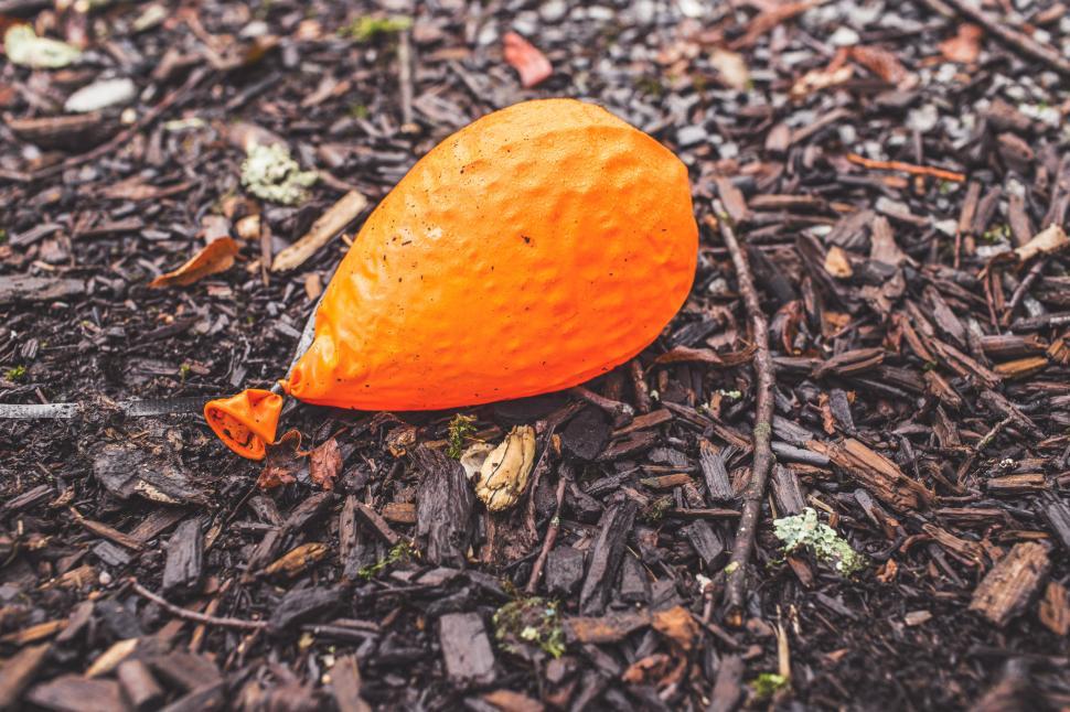 Free Image of Orange Helium Balloon 