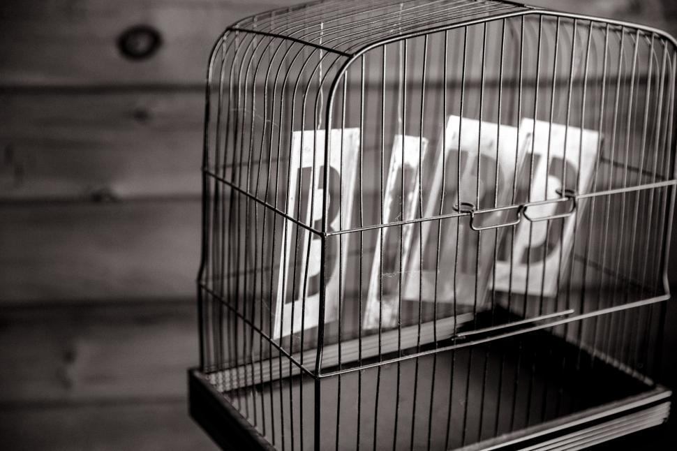 Free Image of B,I,R,D letters in a cage 