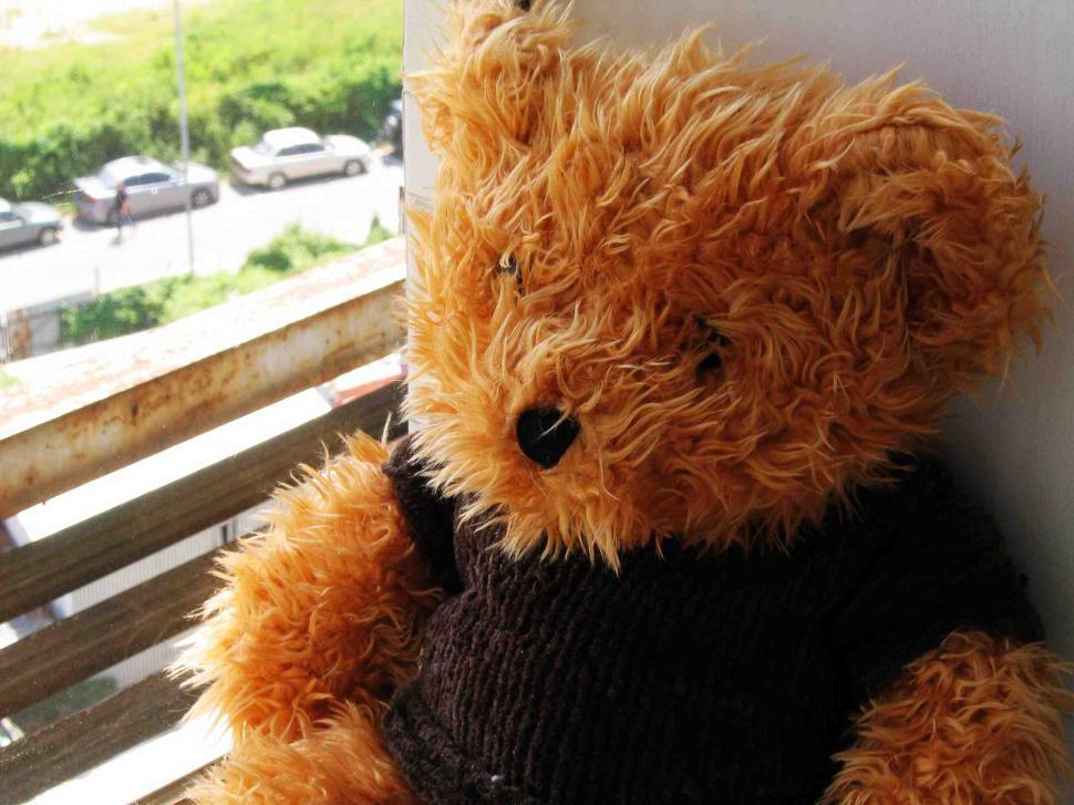 Free Image of Teddy bear 