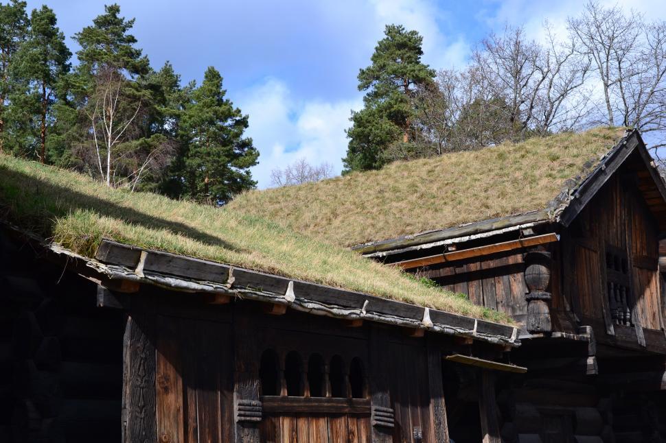 Free Image of Green roof 