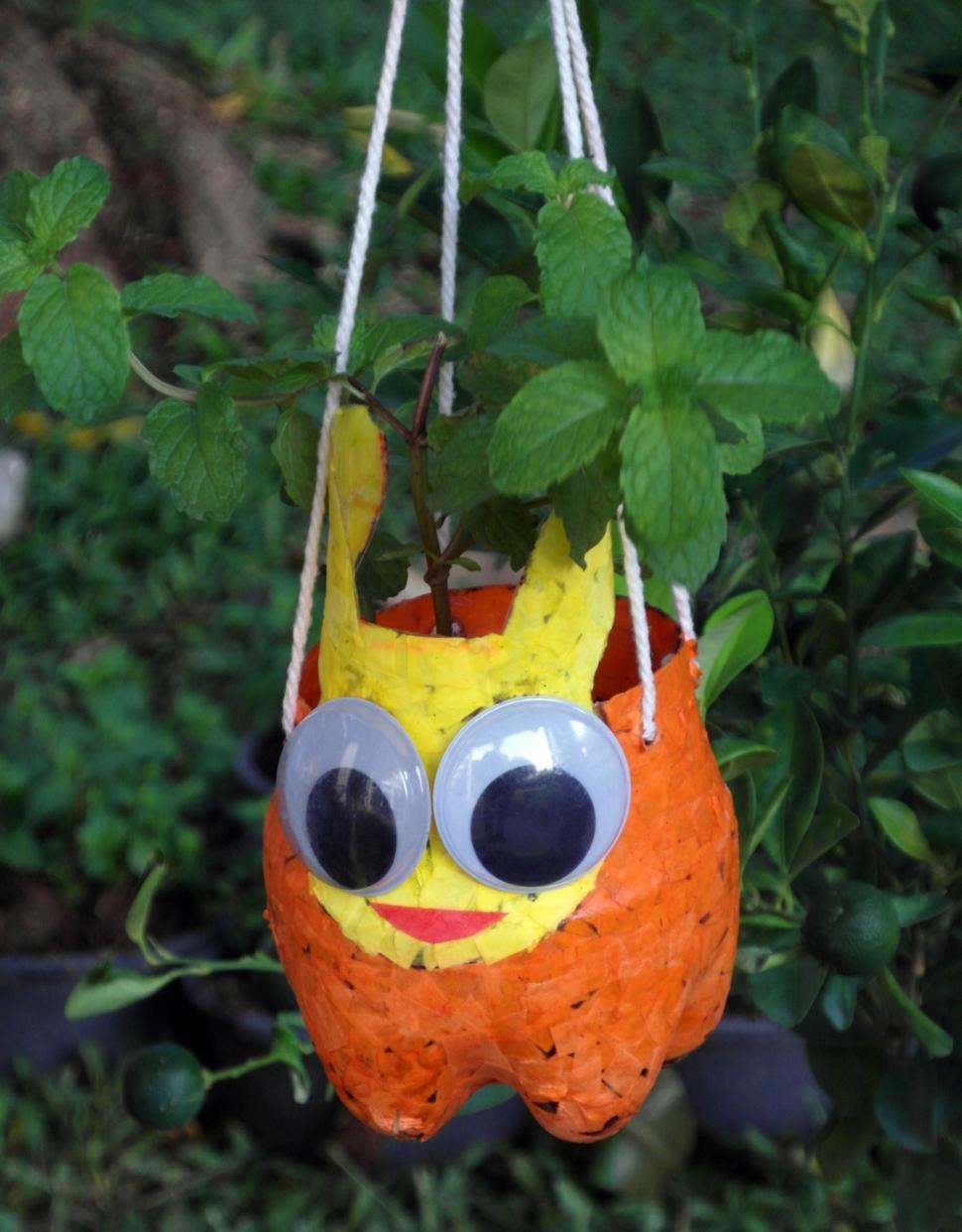 Free Image of Recycled Bottles Craft Plant Pots 