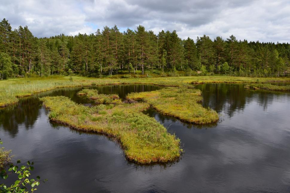 Free Image of Swampy islands lake 