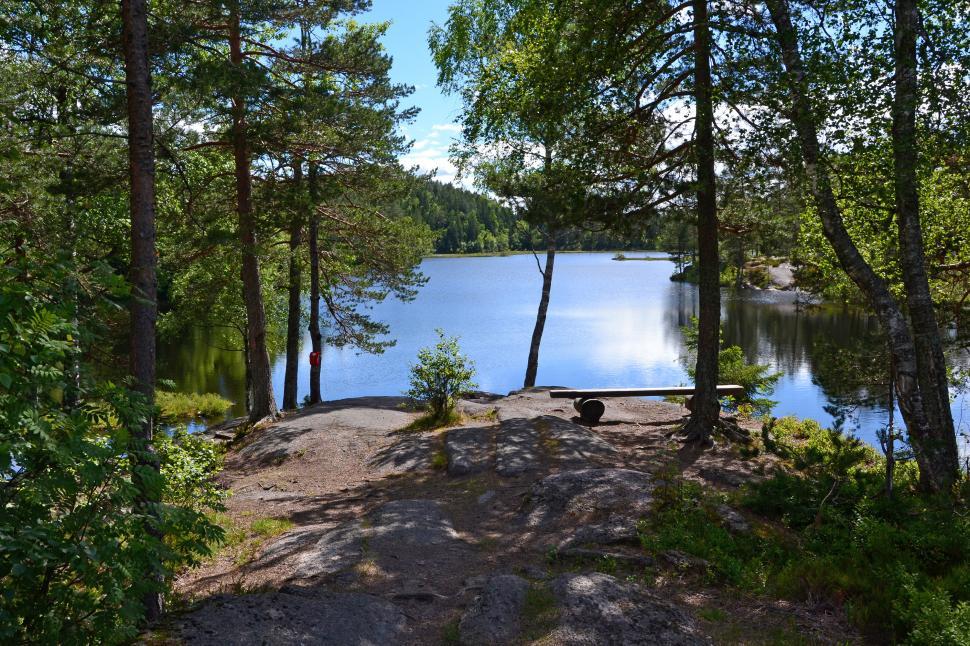 Free Image of Lake in the woods 