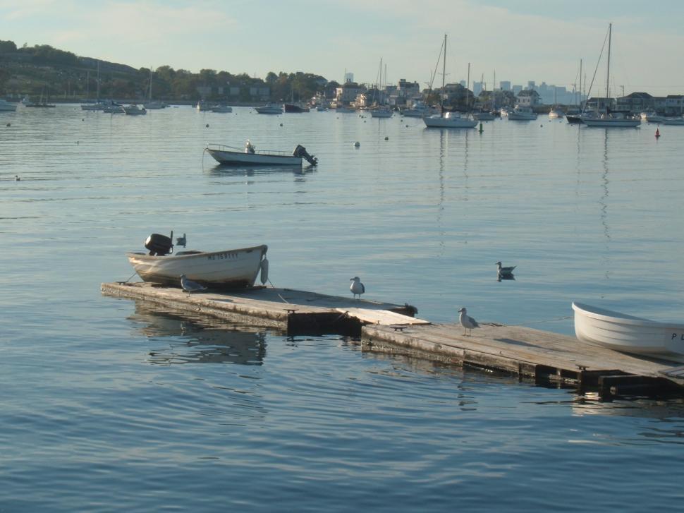 Free Image of Floating Dock 
