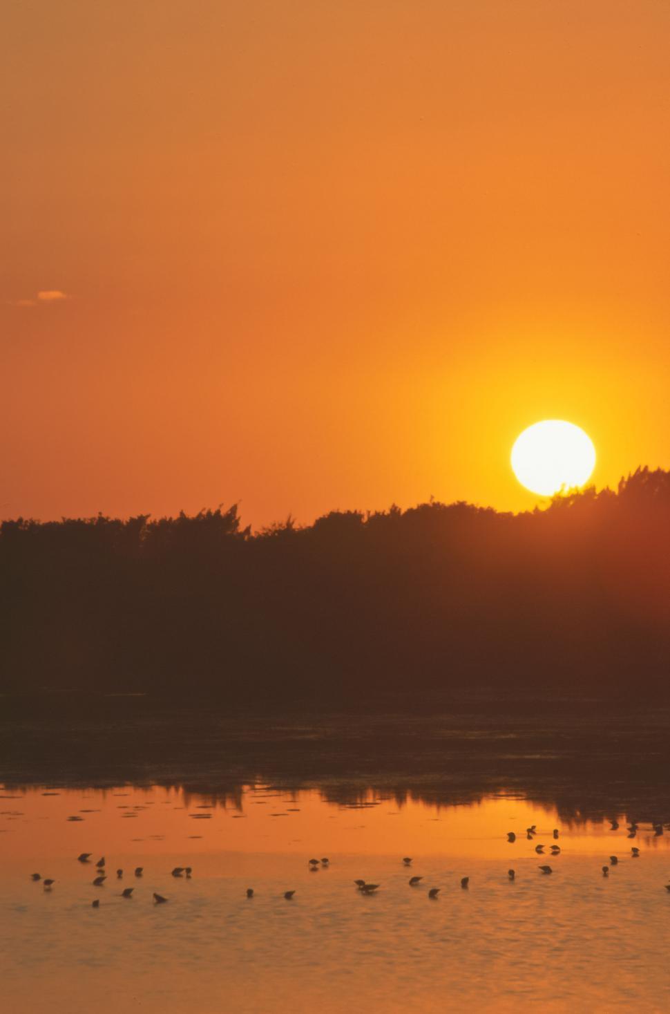 Free Image of Bright Orange Sunrise 