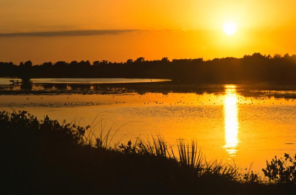 Free Image of Merritt Island Sunset 