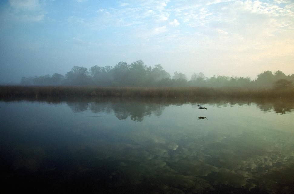 Free Image of Misty Morning 