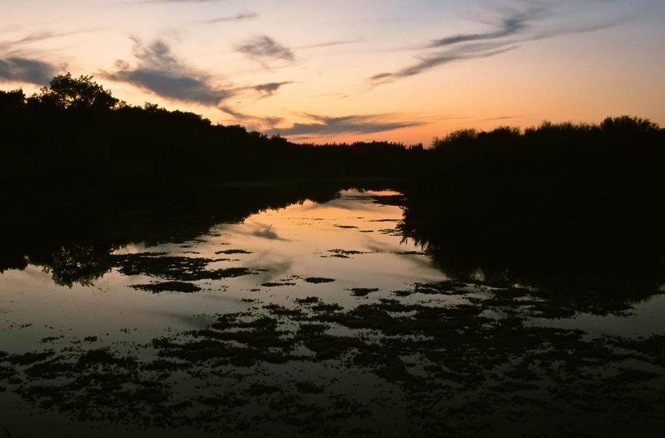 Free Image of River at Sunset  