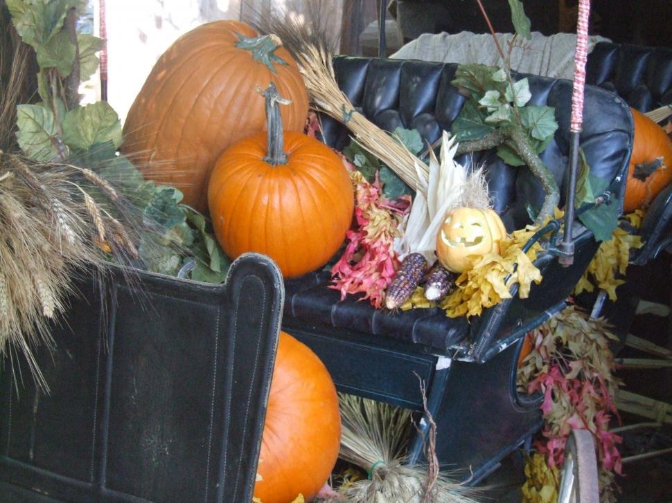 Free Image of Pumpkins 