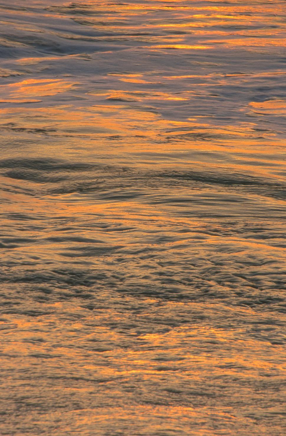 Free Image of Water Ripples 