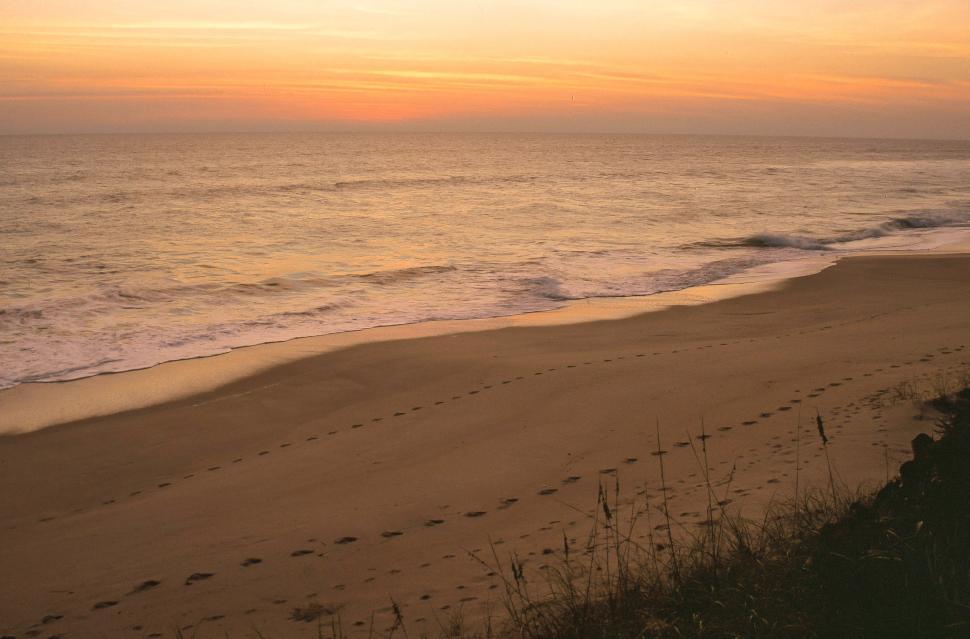 Free Image of Footprints on the Beach 