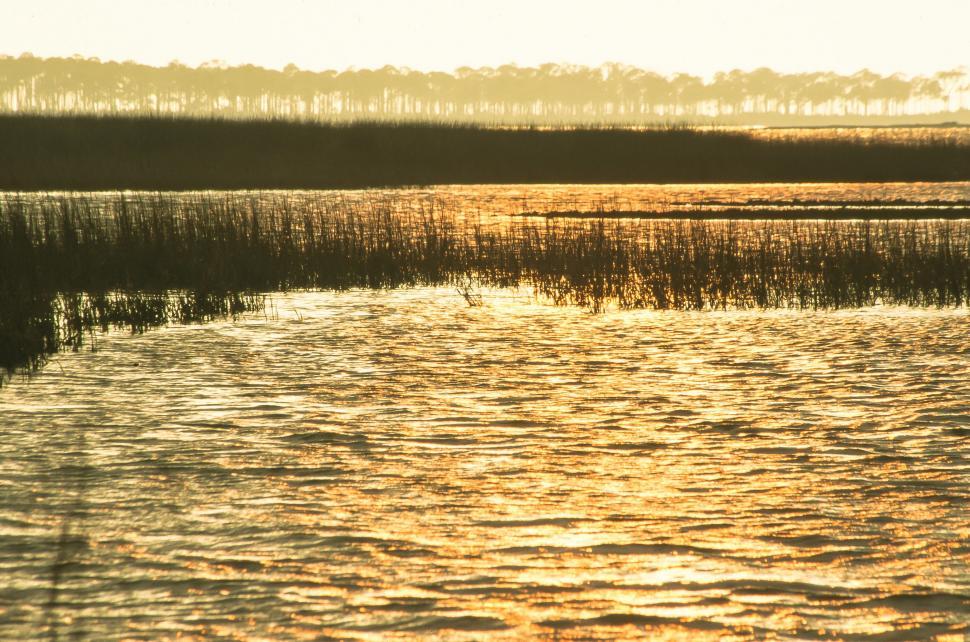 Free Image of St. George Island in Florida 