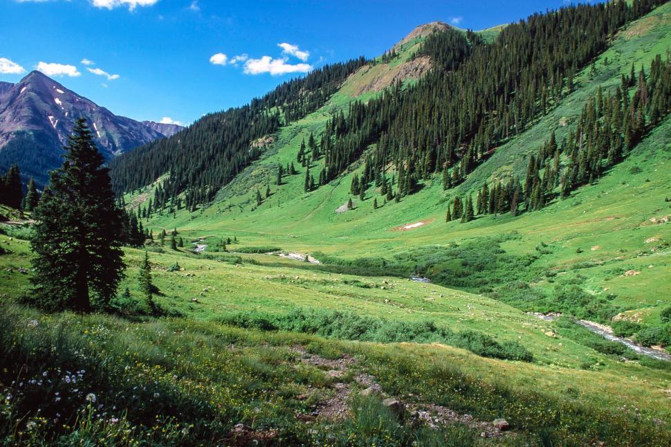 Free Image of Green Valley 