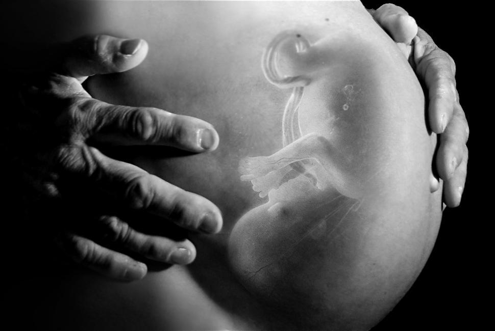 Free Image of fetus inside the mothers pregnant belly 