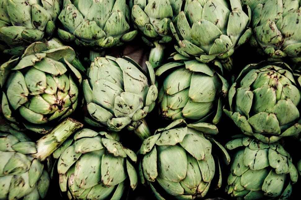 Free Image of Artichoke 