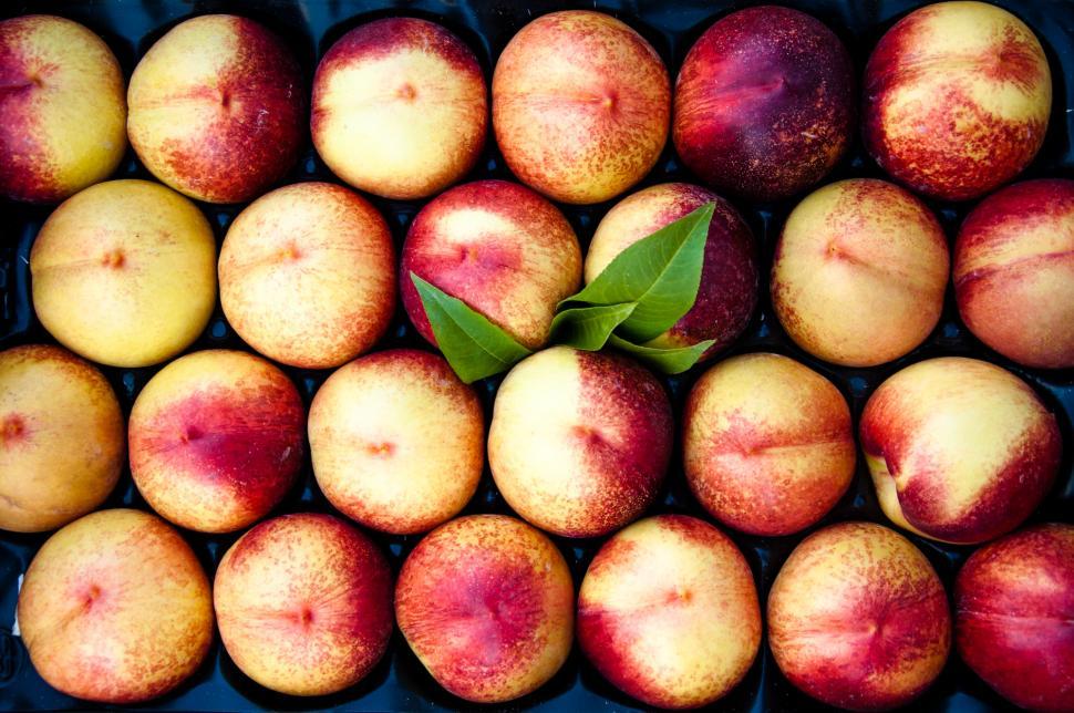Free Image of Peaches 