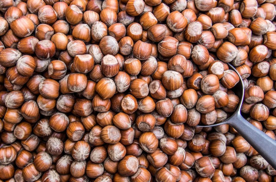 Free Image of Hazelnuts pattern background texture 