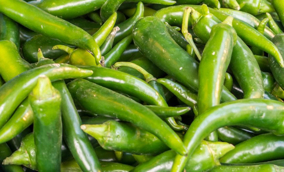 Free Image of spicy green hot chili peppers 
