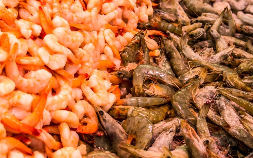 Free Image of Fresh fish in a market 