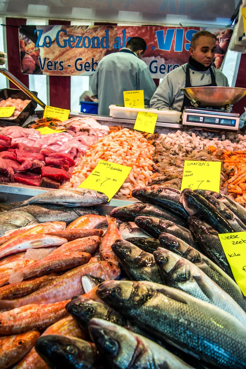 Free Image of Fresh fish in a market 