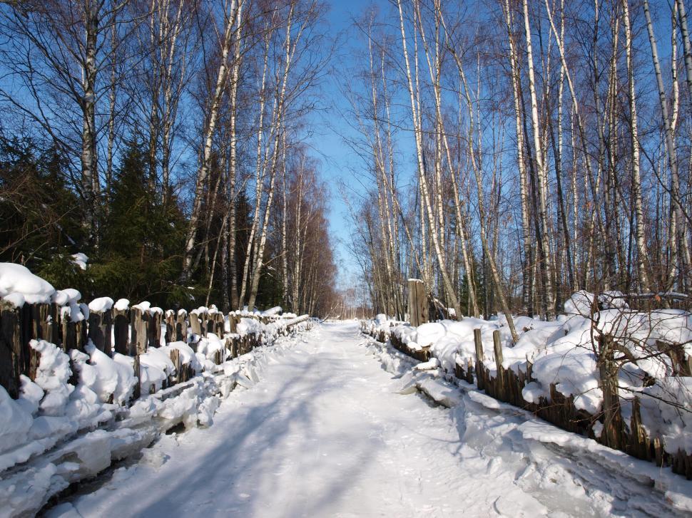 Free Image of Winter in Finland 