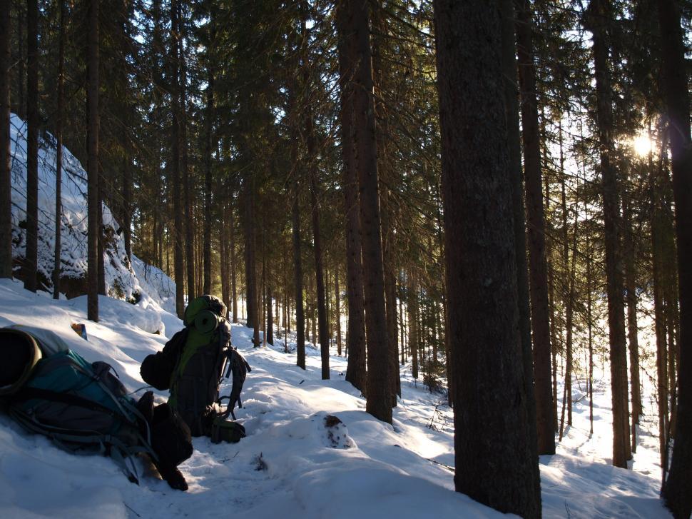 Free Image of Winter in Finland 