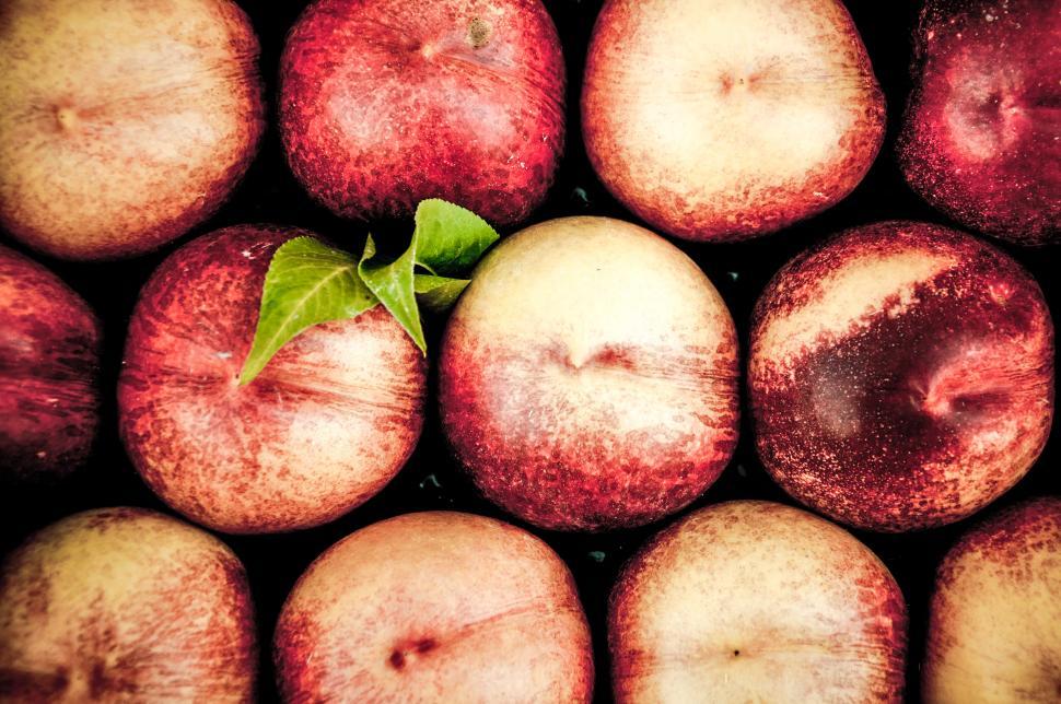 Free Image of Peaches 